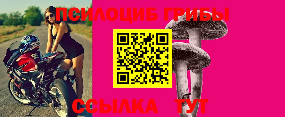 Псилоцибиновые грибы прущие грибы Вологда